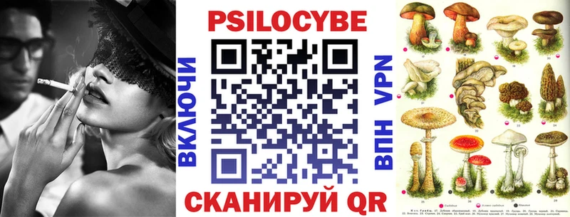 наркотики  OMG сайт  Псилоцибиновые грибы прущие грибы  Новодвинск 