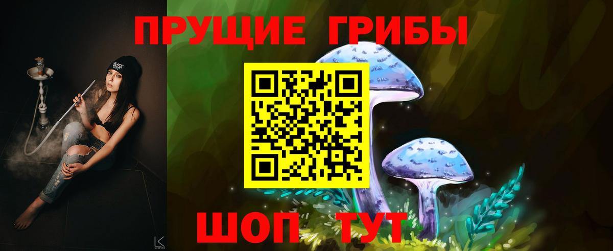 Псилоцибиновые грибы MAGIC MUSHROOMS  Псилоцибиновые грибы Psilocybine cubensis  Вход с VPN  Новодвинск 