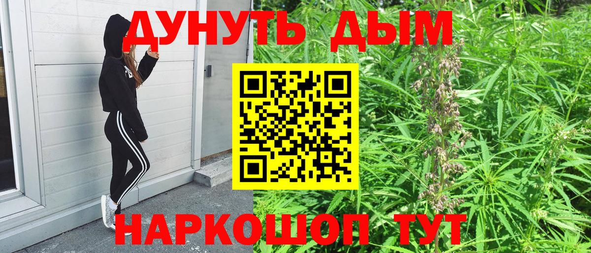 Новодвинск  Каннабис планчик  Вход с VPN  Бошки марихуана White Widow  Каннабис White Widow  Бошки марихуана Amnesia 