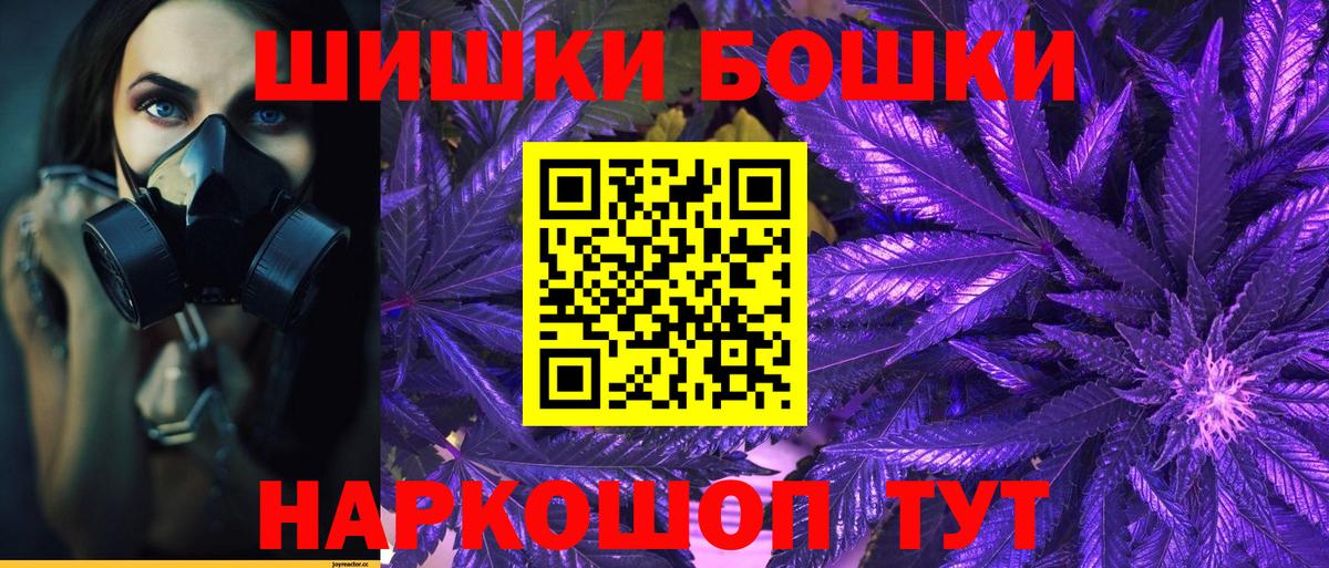 Канабис план Новодвинск
